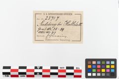 Etiketten zu Eisengürtelring (NHMW-PRAE-023717)